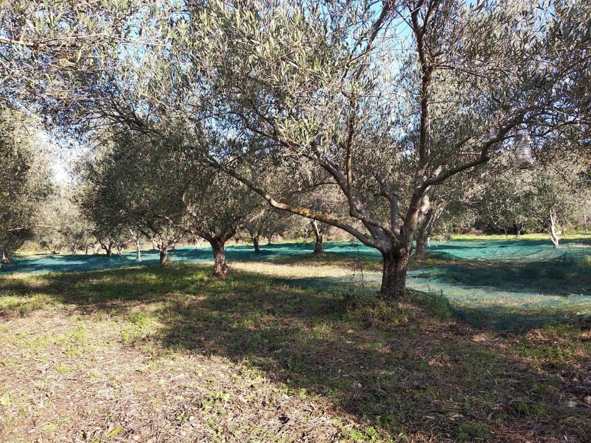 le rocher de Sampzon Exterior foto